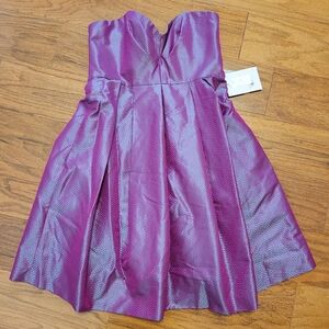 Vintage Jill Stuart Shimmering Purple Formal Dress 6 NWT